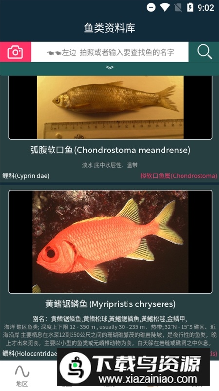 潮汐表精灵APP免费手机版最新版截图2