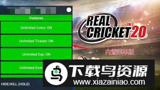 Real Cricket 24真实板球24内置菜单破解版截图1