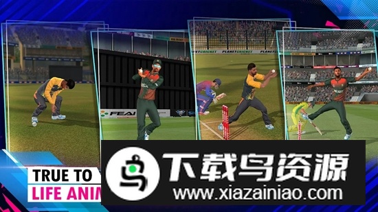 Real Cricket 24真实板球24内置菜单破解版截图4
