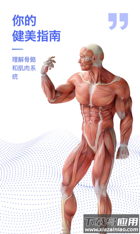人体3d解剖图谱3d模型最新版截图1