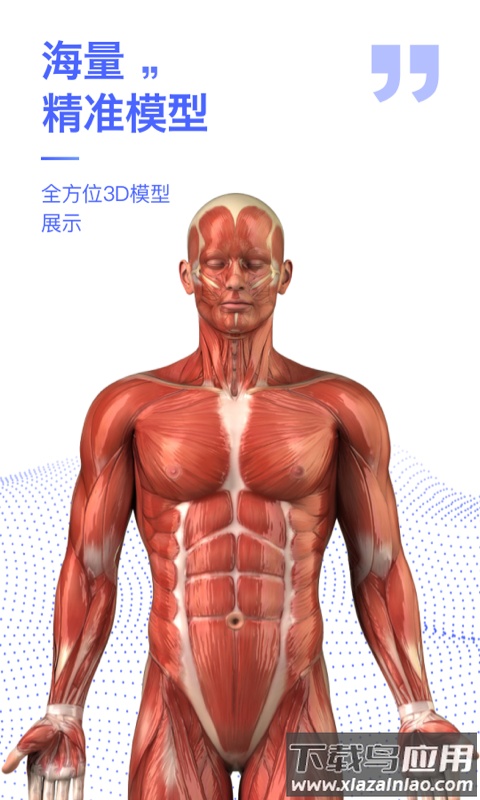 人体3d解剖图谱3d模型最新版截图3