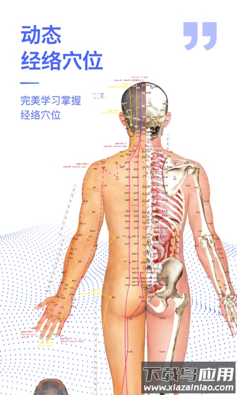 人体3d解剖图谱3d模型最新版截图4