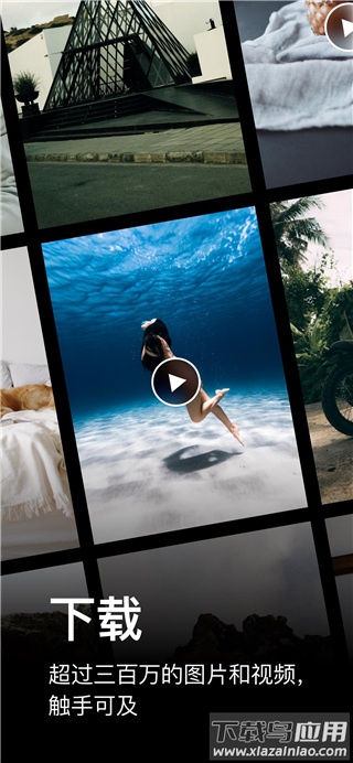 pexels官方版app最新版截图3