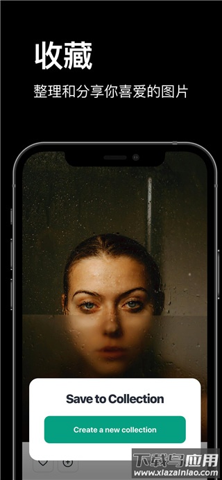 pexels官方版app最新版截图5