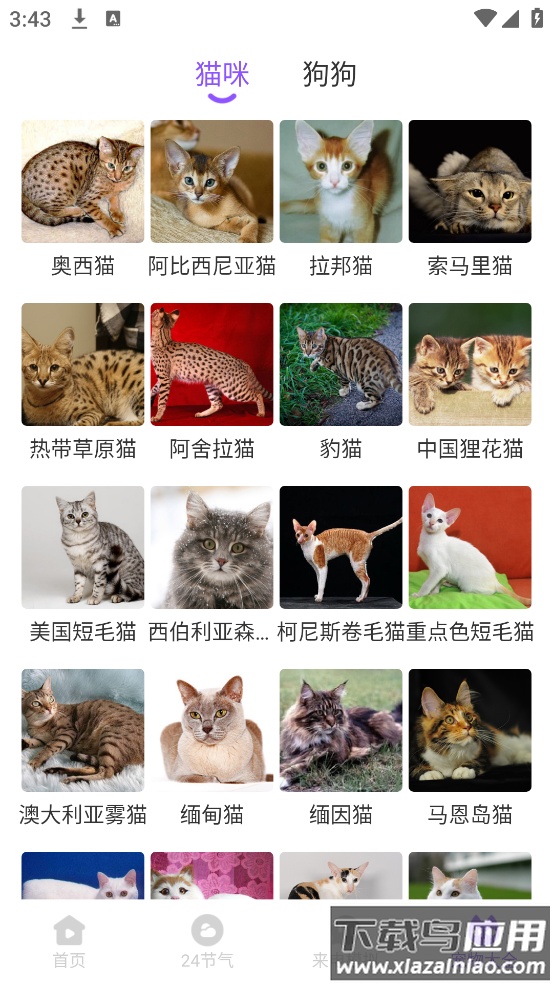 零星来电秀app截图4