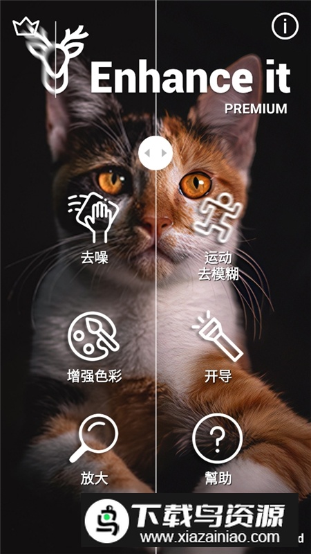enhance增强器手机版(Enhance It破解版)最新版截图4