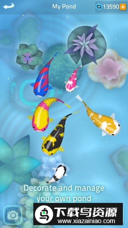 Zen Koi 2禅宗锦鲤2最新版安卓版截图5