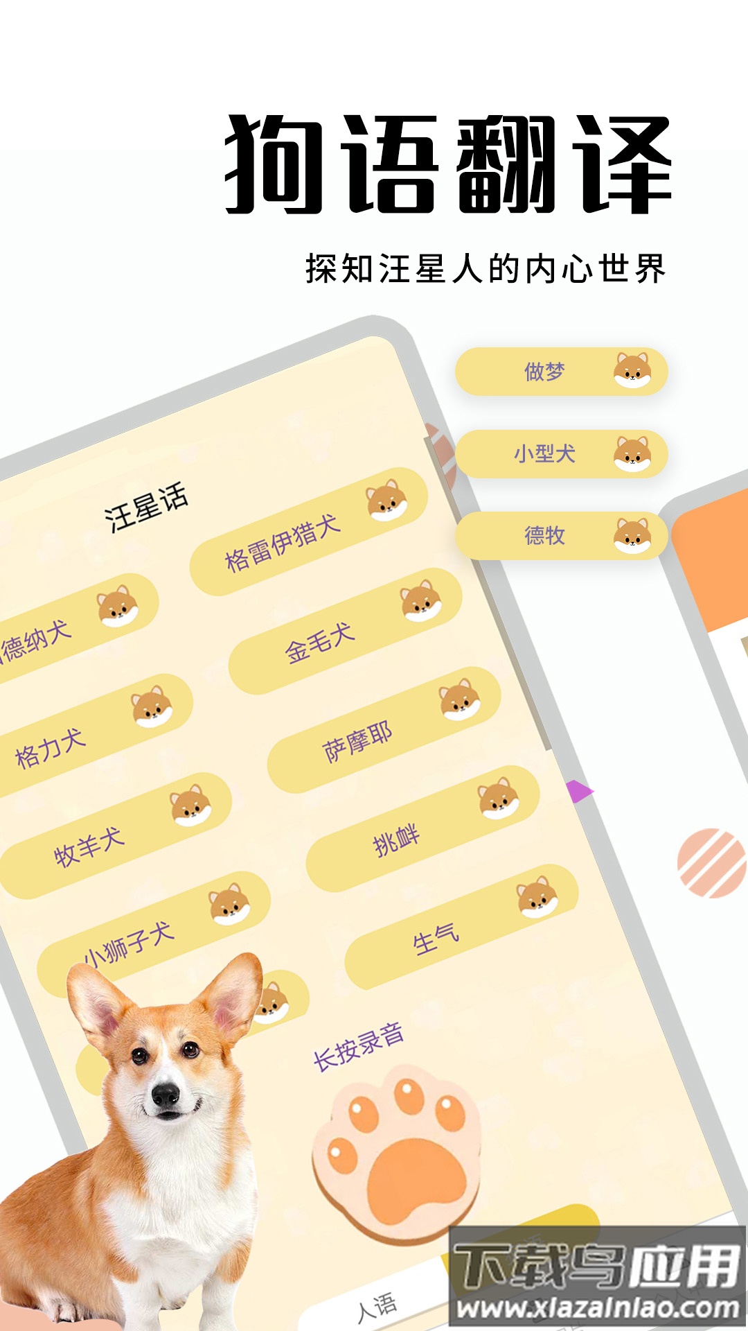 猫狗翻译器软件最新版截图3