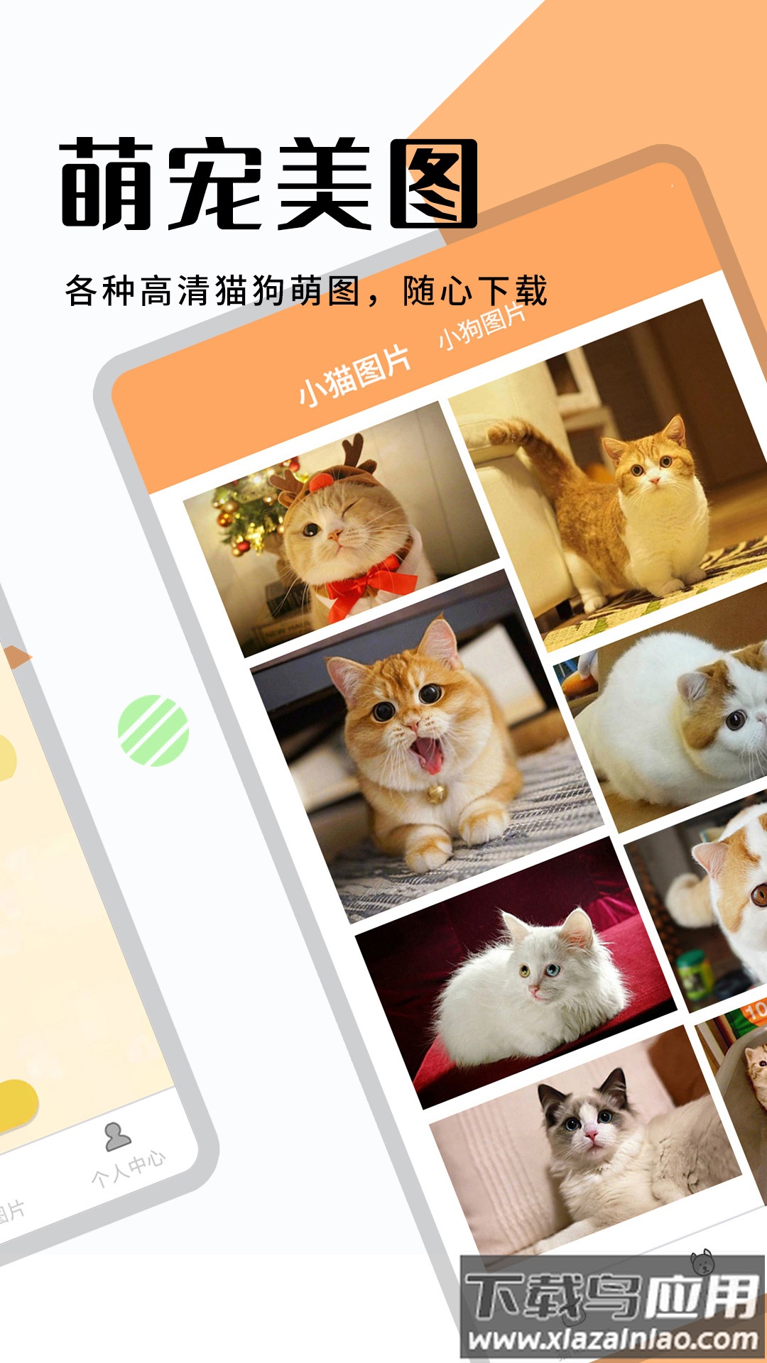 猫狗翻译器软件最新版截图4