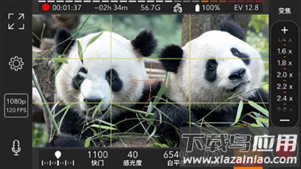 ProMovie官方版截图3