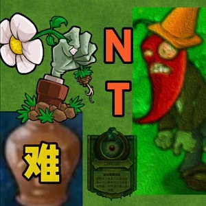植物大战僵尸NT版正版安装包