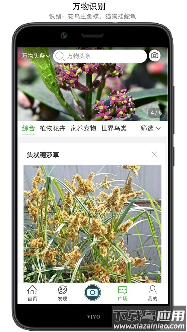 万物志软件最新版截图3