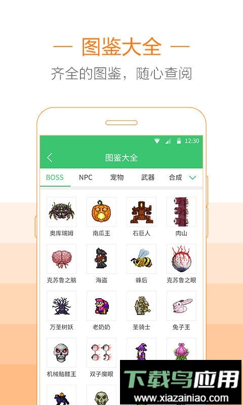 泰拉瑞亚助手盒子正版最新版截图1