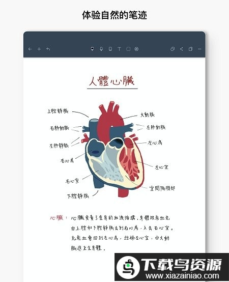 Noteshelf免付费全解锁最新版截图3