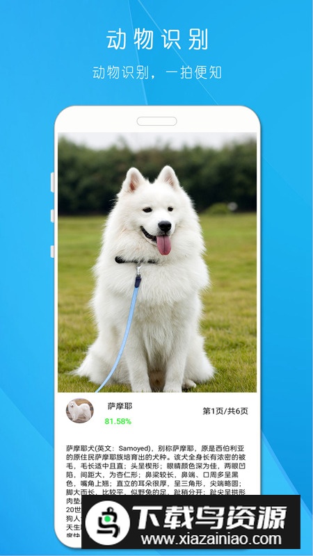 拍照识万物软件免费最新版最新版截图5