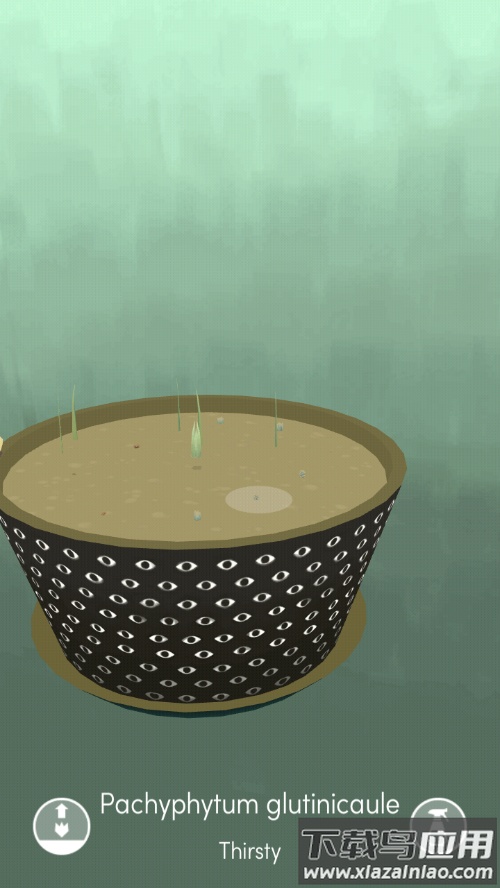 电子盆栽游戏官方版下载(Viridi)最新版截图5