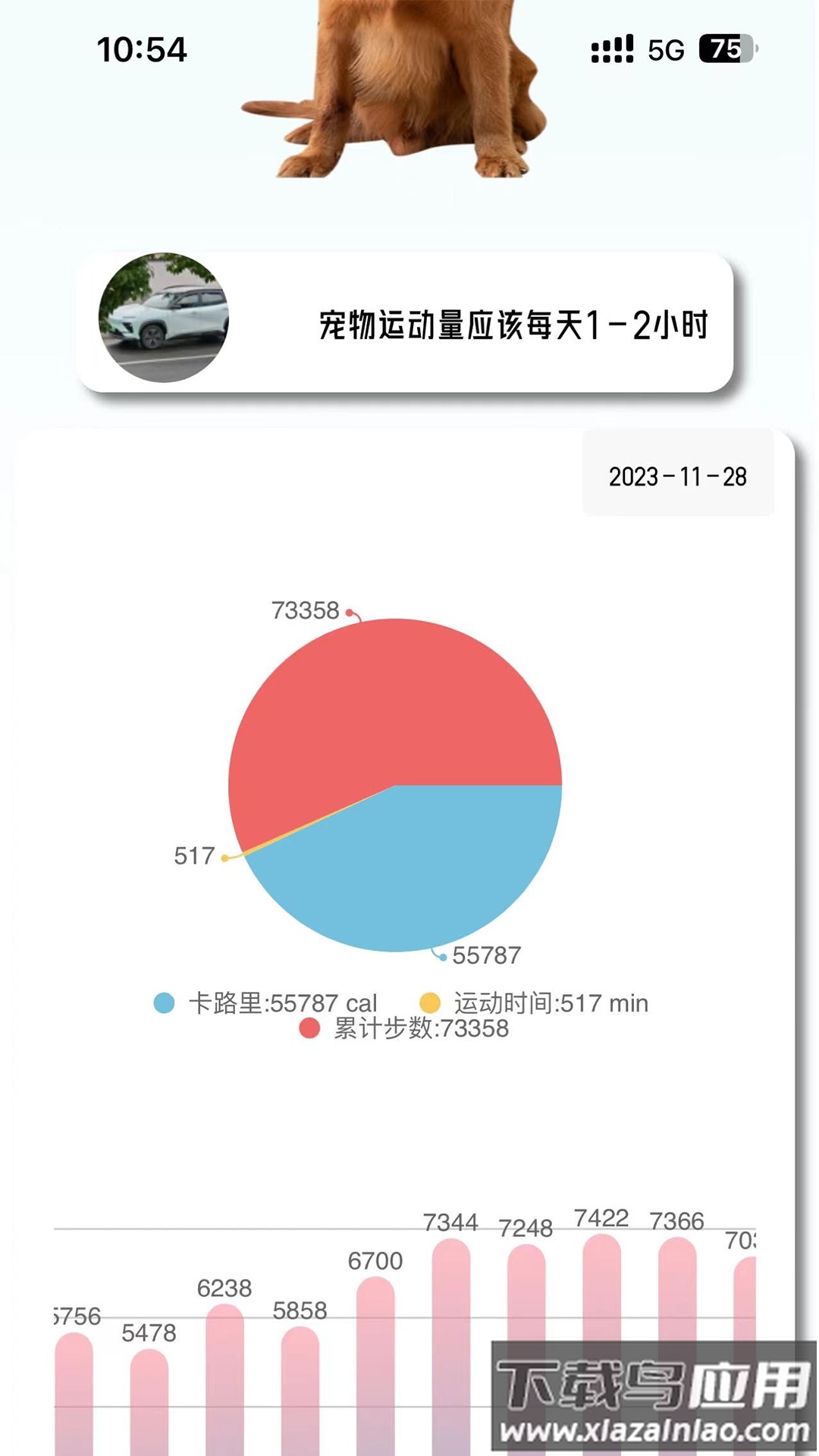 宠悦悦app下载安装最新版截图4