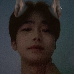 阿民抓号器最新版本