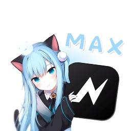 NV MAX最新版