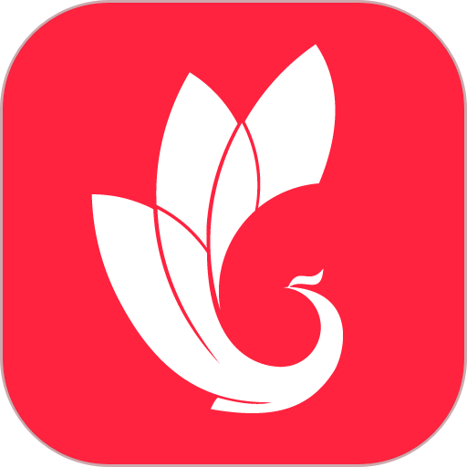 巅峰减重训练营软件