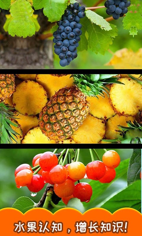 宝宝切水果最新版本最新版截图2