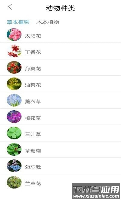 植物品鉴app最新版截图2
