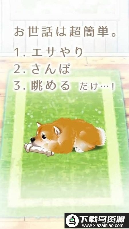 柴犬育成游戏最新版截图1