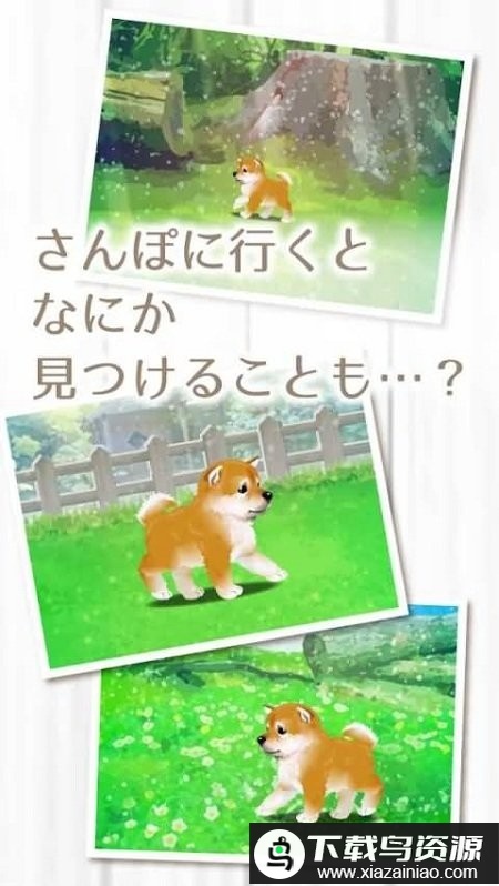 柴犬育成游戏最新版截图2