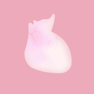 LIFE生命模拟器安卓版