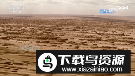 宽带电视TV不闪退版本截图2