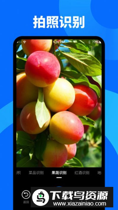 奕墨文字识别app手机版截图5