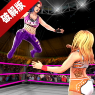 Bad Girls Wrestling坏女孩摔跤全人物解锁版