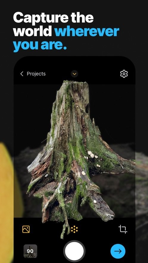 realityscan手机版汉化最新版截图3