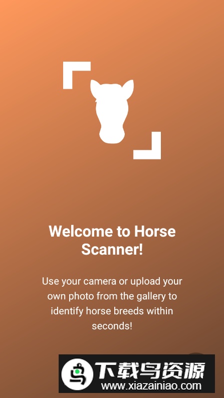 Horse Scanner马匹扫描仪高级版解锁版截图3