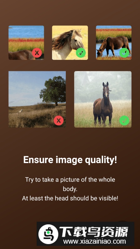 Horse Scanner马匹扫描仪高级版解锁版截图4