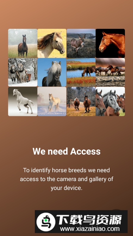 Horse Scanner马匹扫描仪高级版解锁版截图5