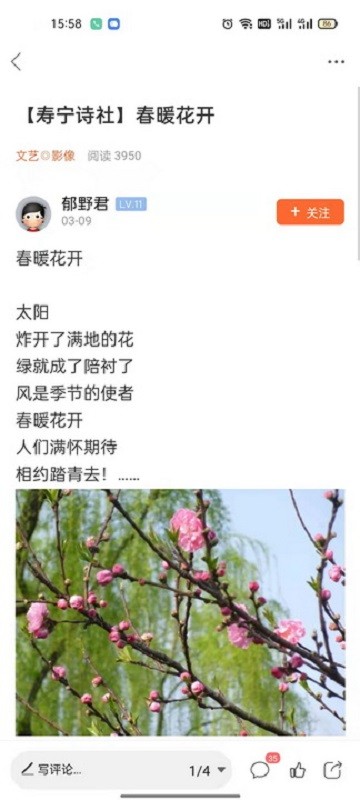 大寿宁信息网最新版截图2