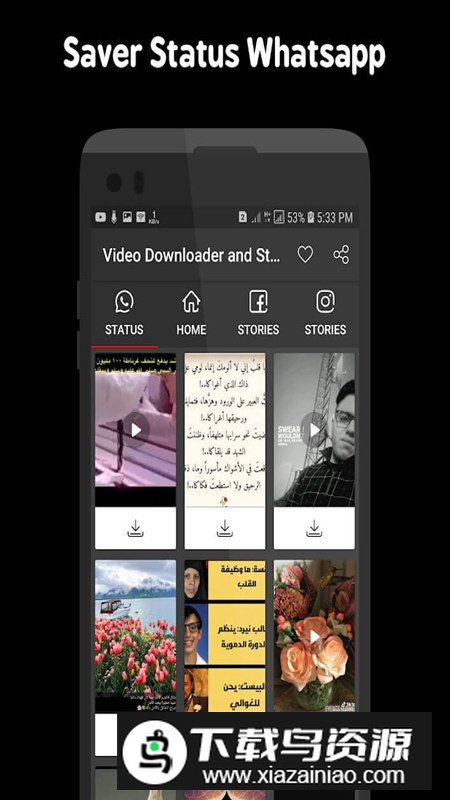 VideoDownloader and Stories(视频下载器和故事解锁版)截图2