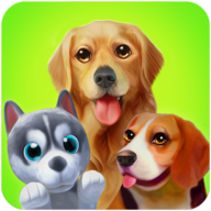 My Talking Puppy我的会说话的小狗游戏