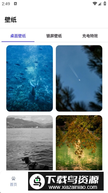 shimeji桌宠官方正版最新版截图4