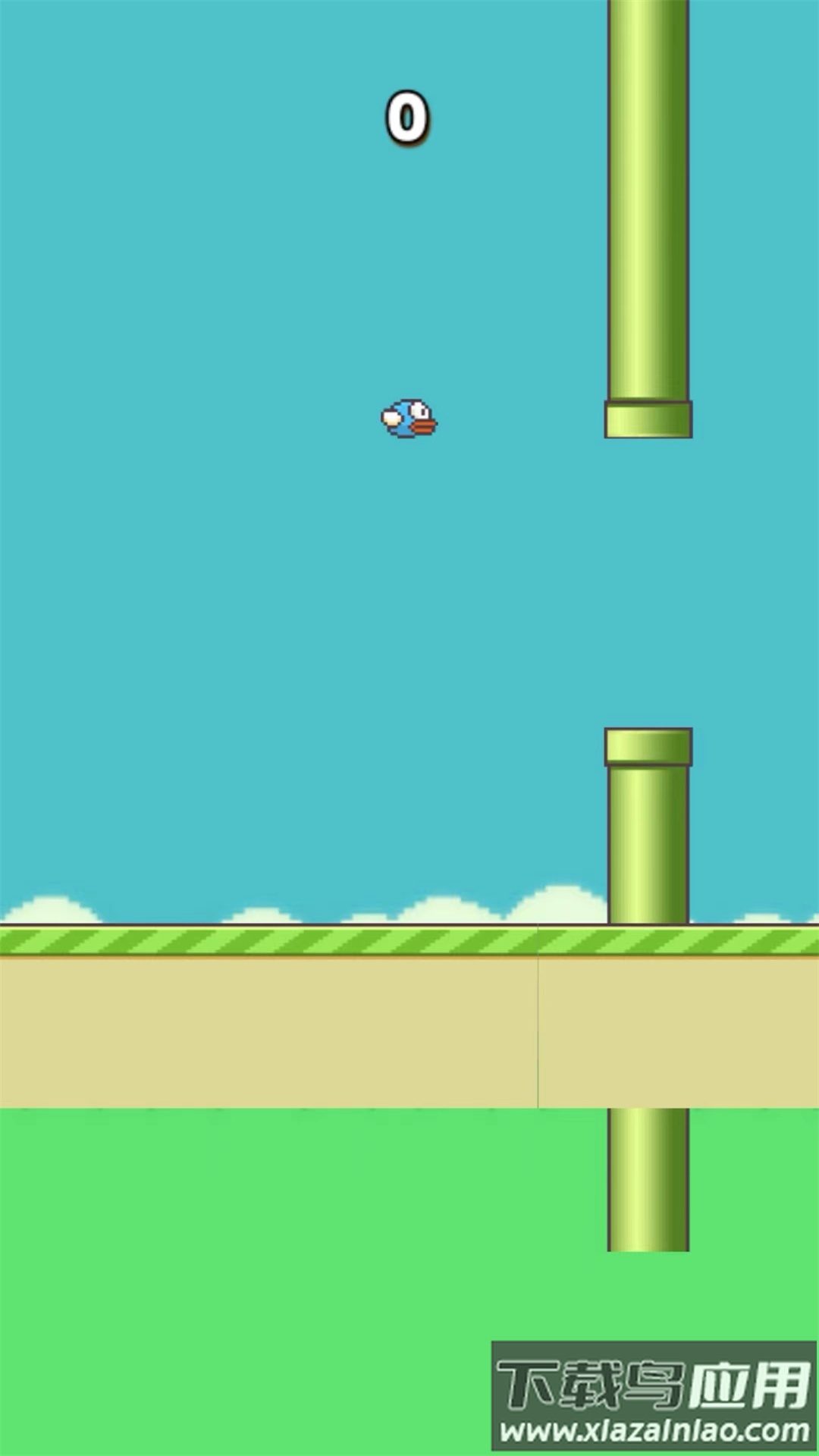 笨鸟努努游戏下载安装最新版截图2