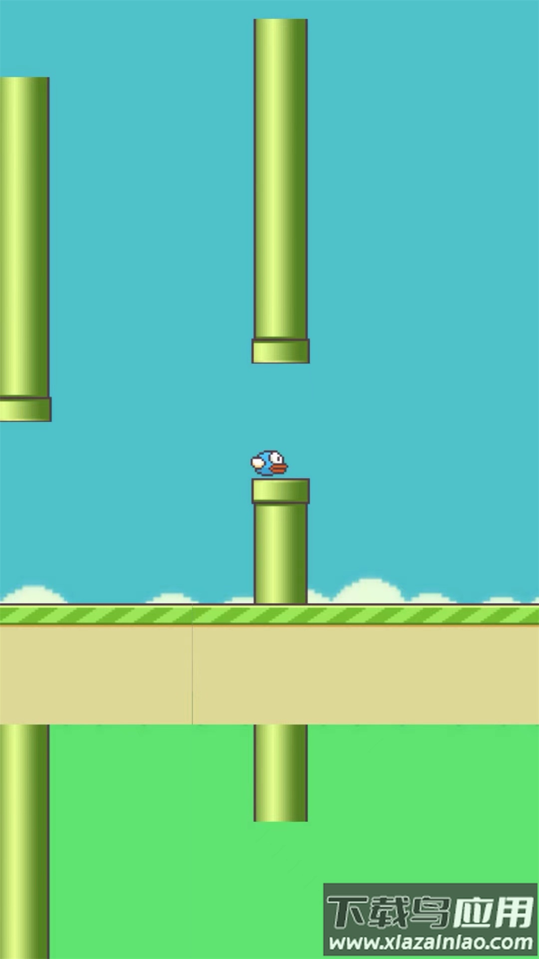 笨鸟努努游戏下载安装最新版截图3