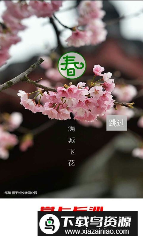 掌上长沙(长沙晚报电子版2025最新版)截图3