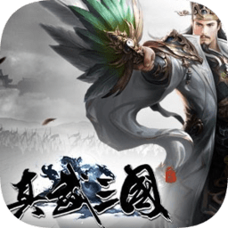 真武三国果盘版