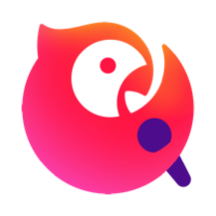 全民k歌定制版本