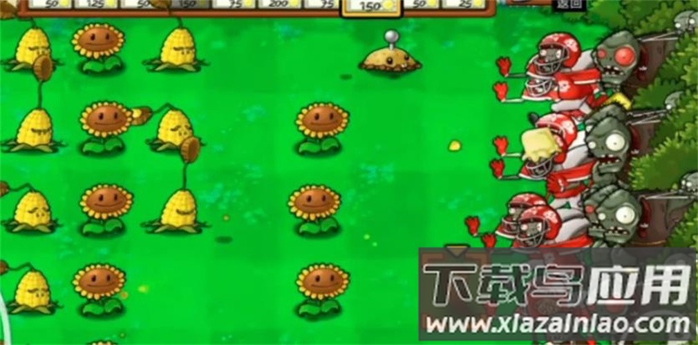 PVZTV火焰版截图2