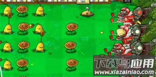 PVZTV火焰版截图3