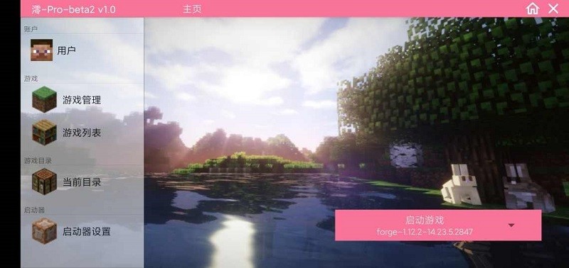 我的世界pro启动器最新版截图3