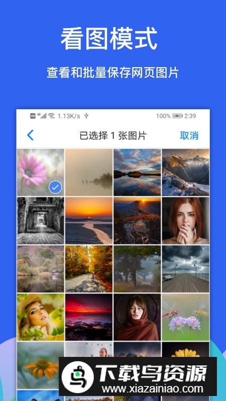 alook浏览器官方最新版最新版截图3