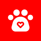 掌上烟台app安卓手机版